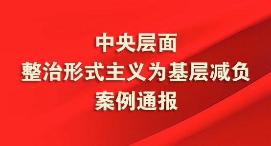 中央层面整治形式主义为基层减负案例通报