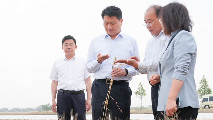 姜冬冬专题调研夏收夏种及乡村全面振兴工作
